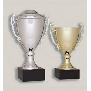 Awards